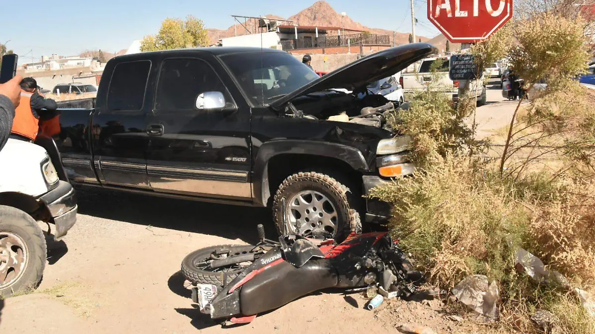 WhatsApp Image 2026-01-09 at 1.46.29 PM