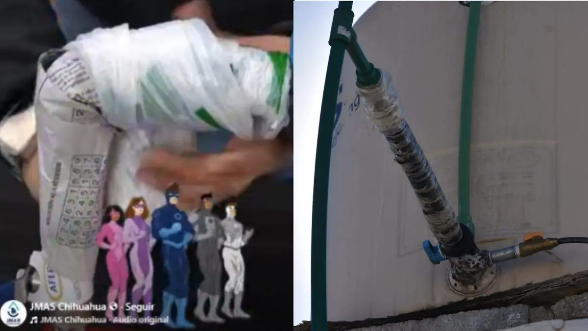 WhatsApp Image 2026-01-09 at 4.23.31 PM