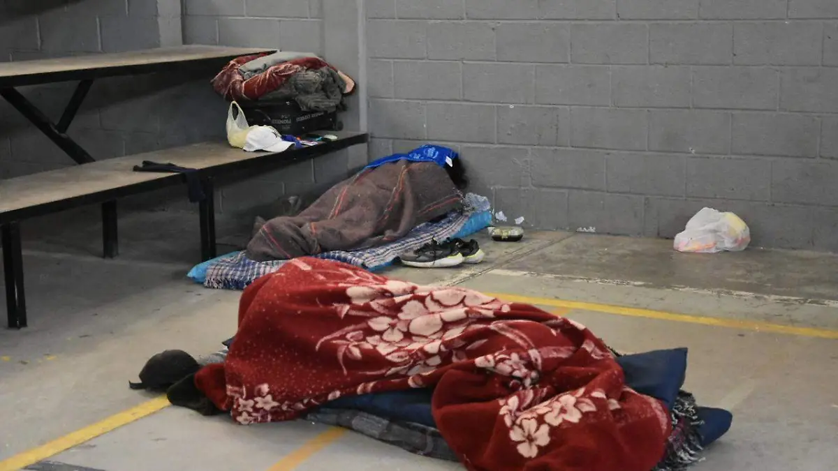 WhatsApp Image 2026-01-10 at 9.08.04 AM