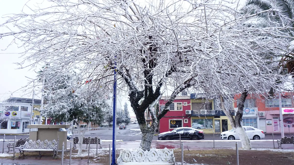 Nieve árboles invierno
