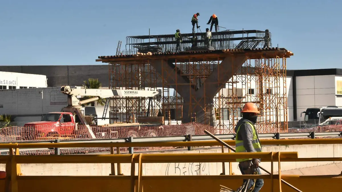 WhatsApp Image 2026-01-10 at 1.11.35 PM