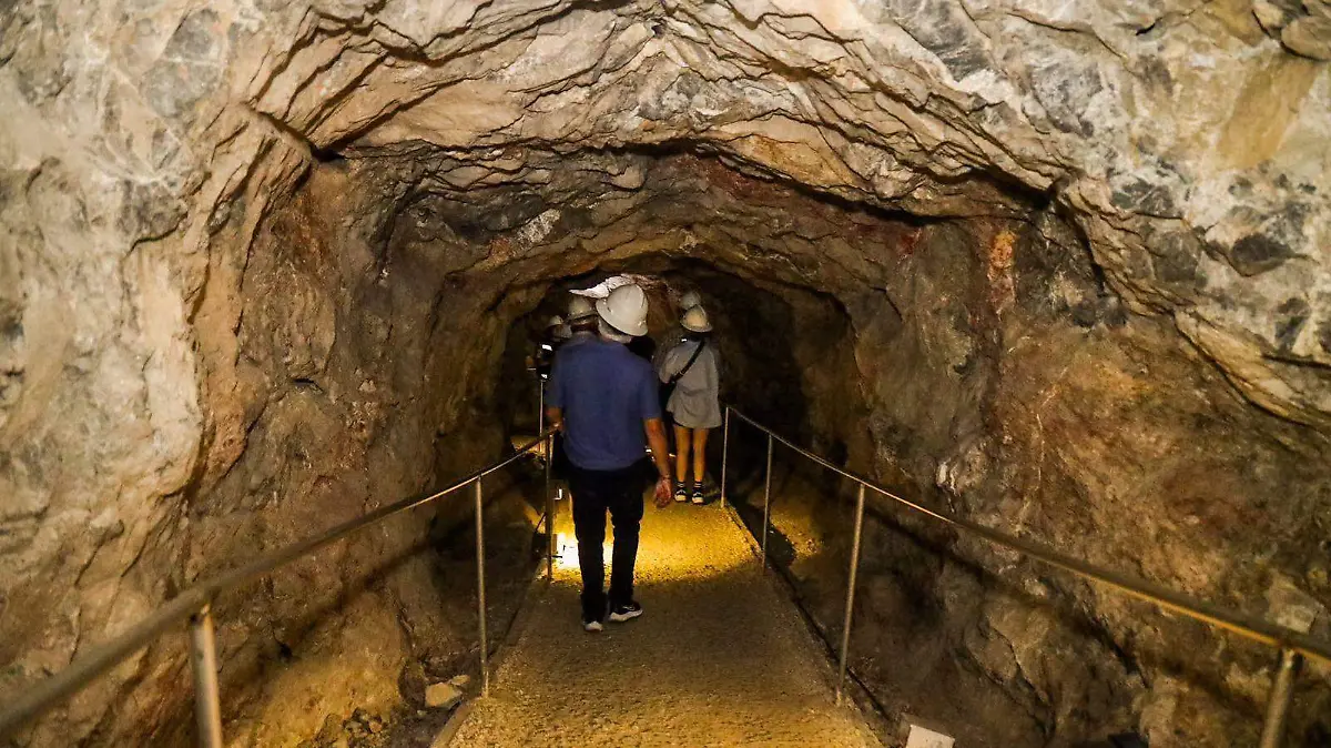 WhatsApp Image 2026-01-11 at 10.42.35 AM