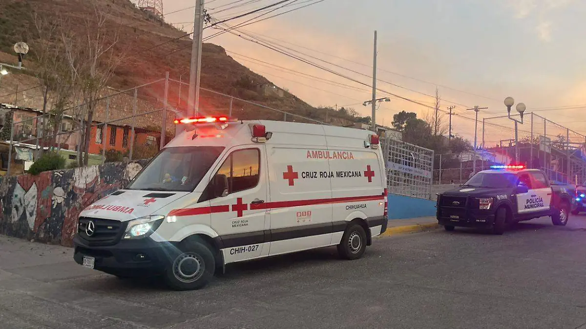 WhatsApp Image 2026-01-11 at 8.18.59 PM