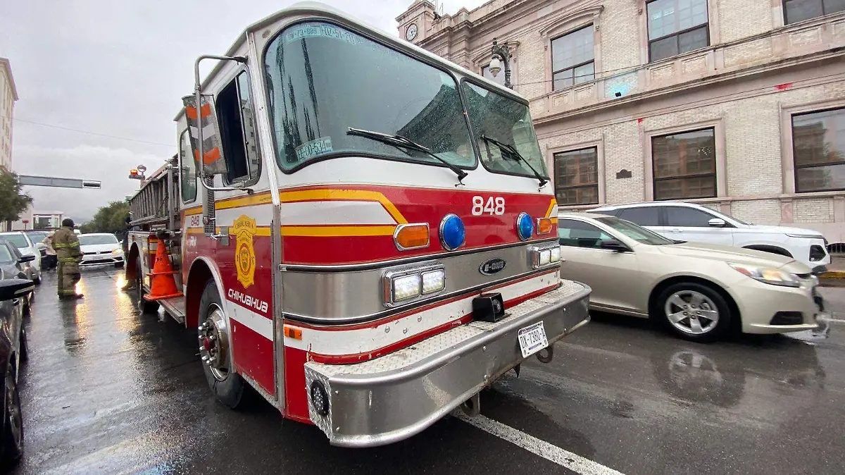 WhatsApp Image 2026-01-12 at 9.23.49 AM