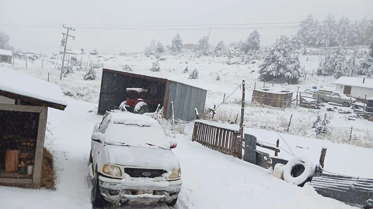 WhatsApp Image 2026-01-12 at 10.52.37 AM (1)