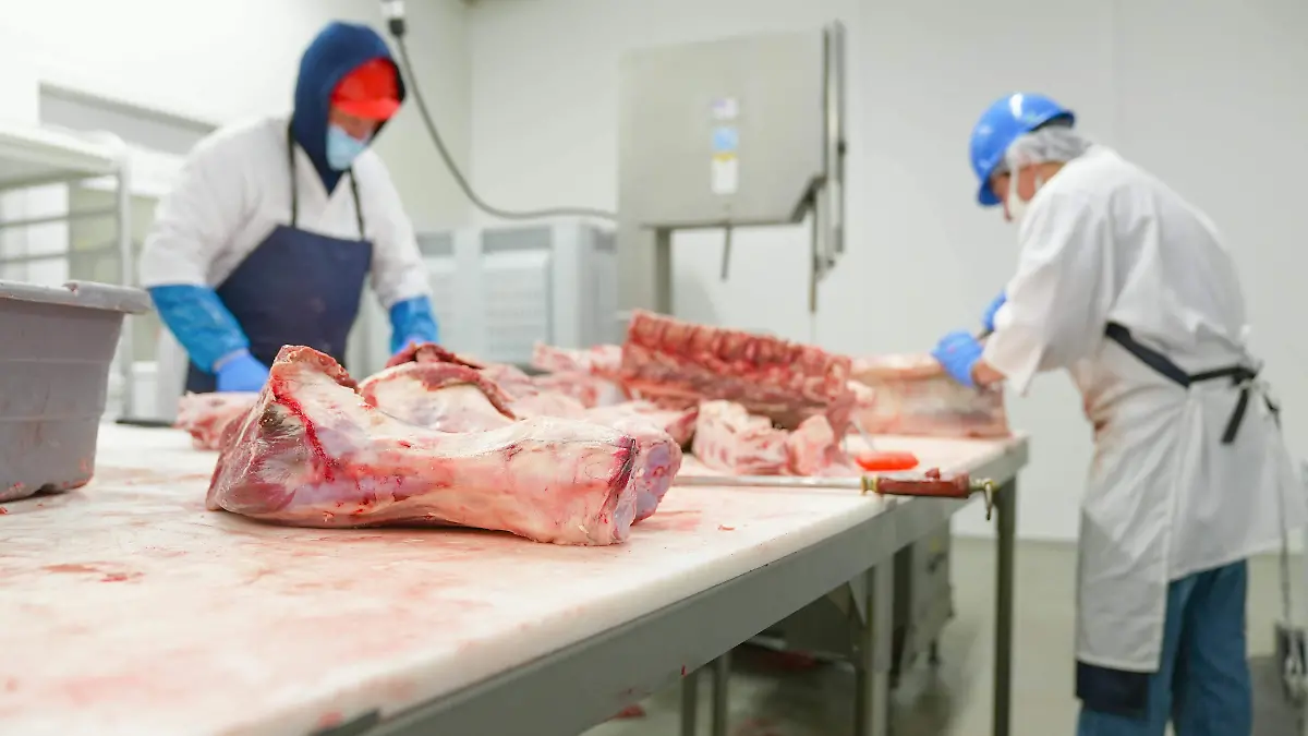 pexels-nc-farm-bureau-mark-7163986