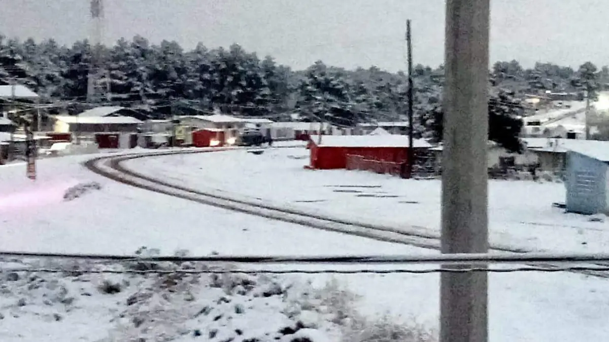 WhatsApp Image 2026-01-12 at 12.11.31 PM