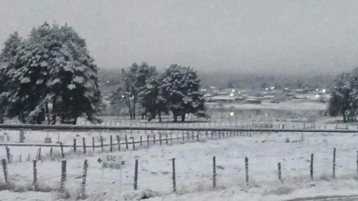 WhatsApp Image 2026-01-12 at 12.11.31 PM (1)