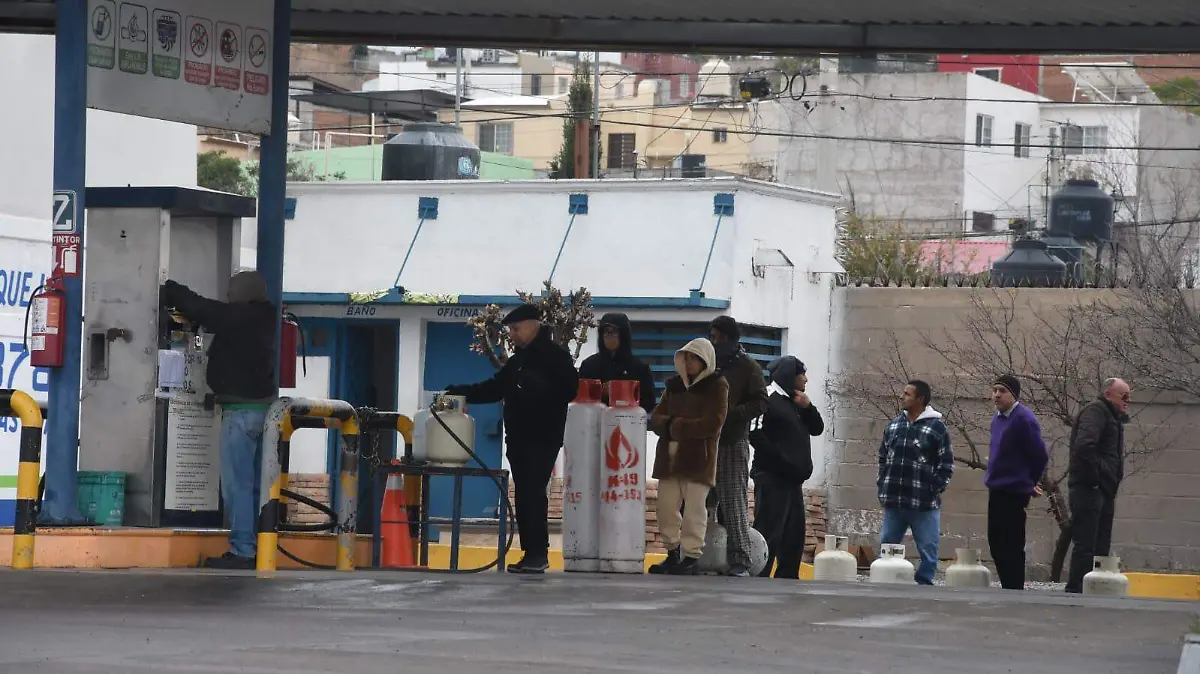 WhatsApp Image 2026-01-12 at 12.02.22 PM