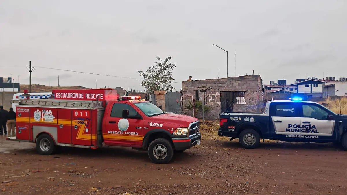 WhatsApp Image 2026-01-12 at 6.27.59 PM