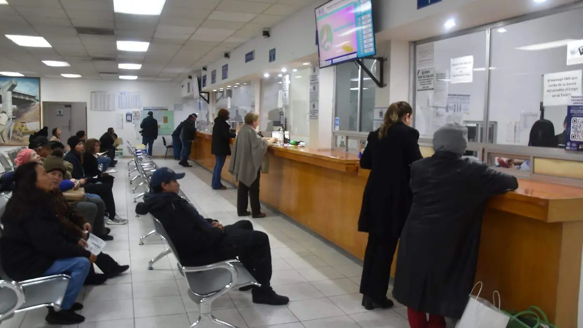 WhatsApp Image 2026-01-12 at 5.56.37 PM