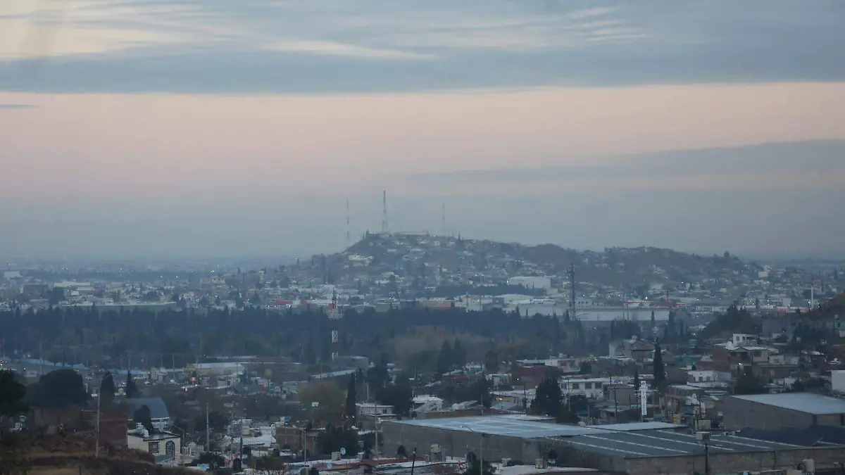 WhatsApp Image 2026-01-13 at 8.30.46 AM