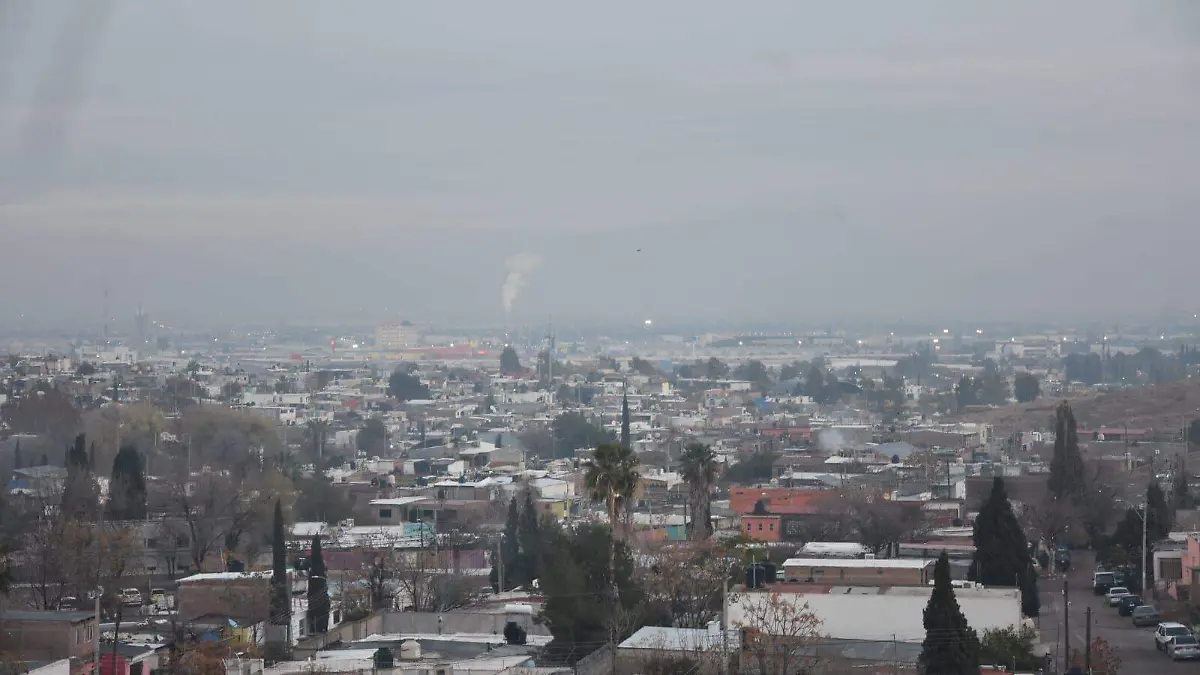 WhatsApp Image 2026-01-13 at 8.30.46 AM (1)