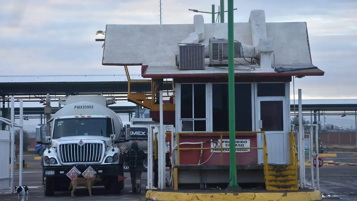 WhatsApp Image 2026-01-13 at 8.58.50 AM