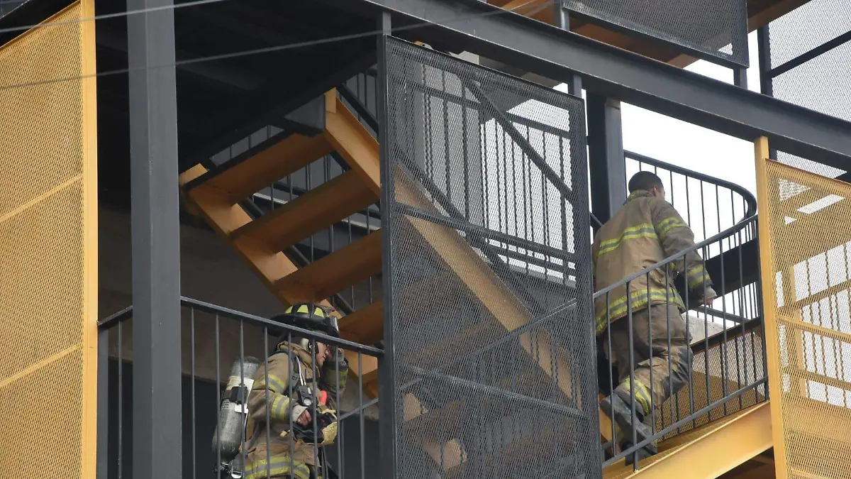 WhatsApp Image 2026-01-13 at 10.42.10 AM