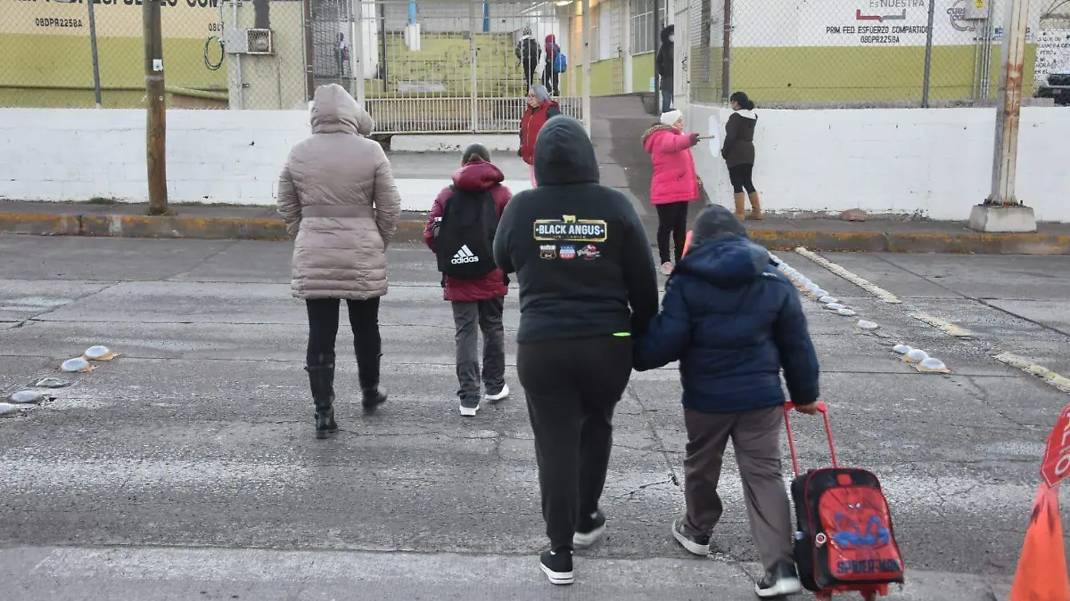 WhatsApp Image 2026-01-13 at 1.07.25 PM