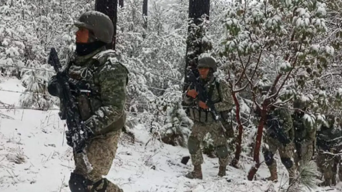 WhatsApp Image 2026-01-15 at 1.10.43 PM