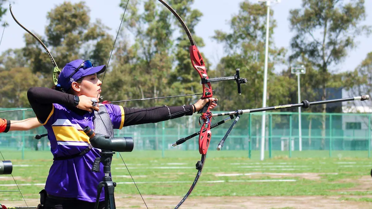 156c55a6-8c34-44bb-9626-957f9a97f3e1