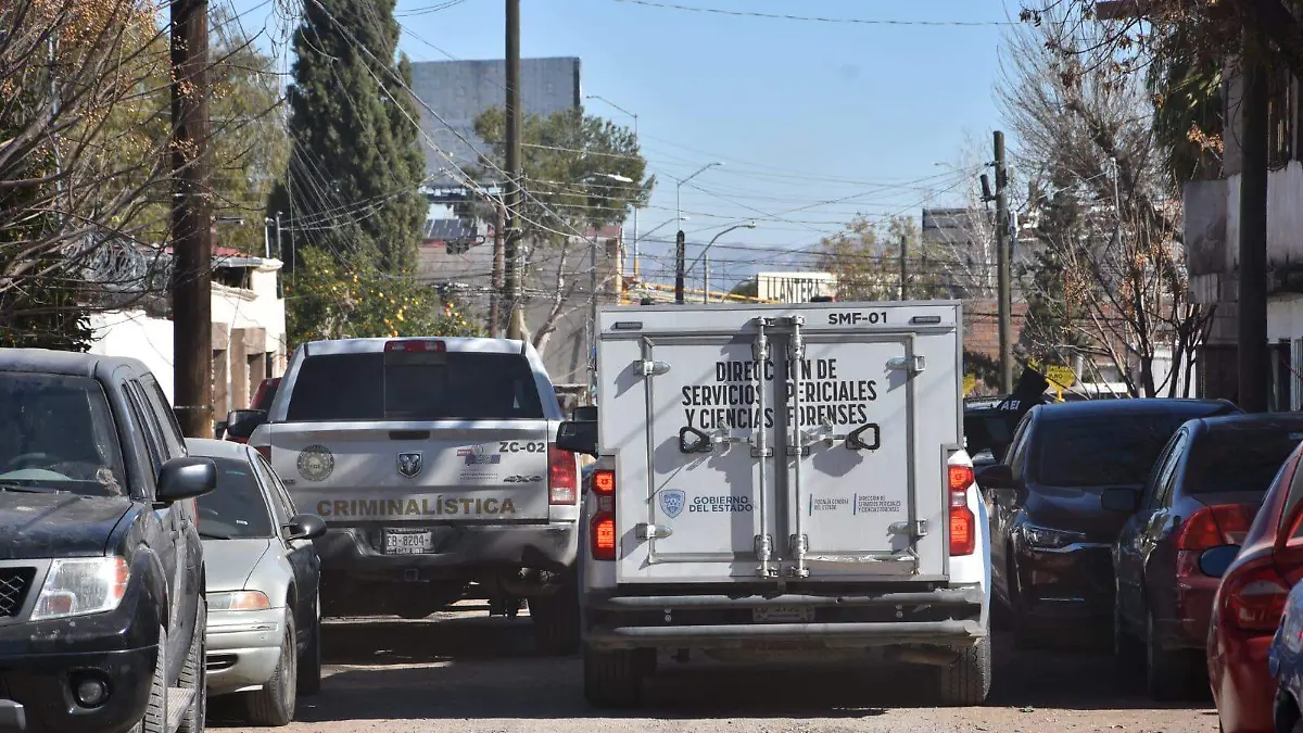 WhatsApp Image 2026-01-15 at 12.28.24 PM