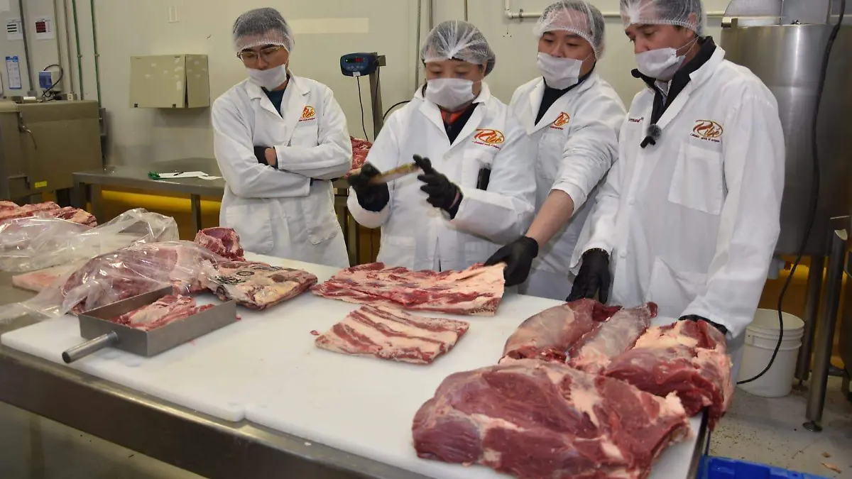 WhatsApp Image 2026-01-15 at 4.31.17 PM