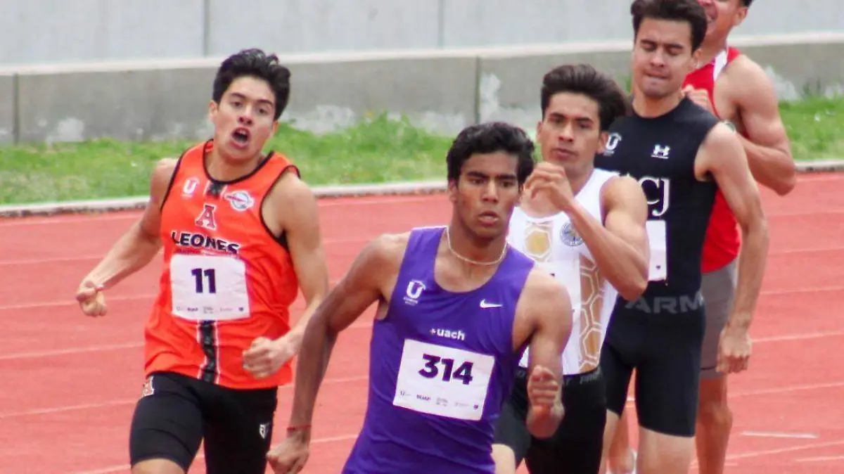 WhatsApp Image 2026-01-15 at 12.56.12 PM