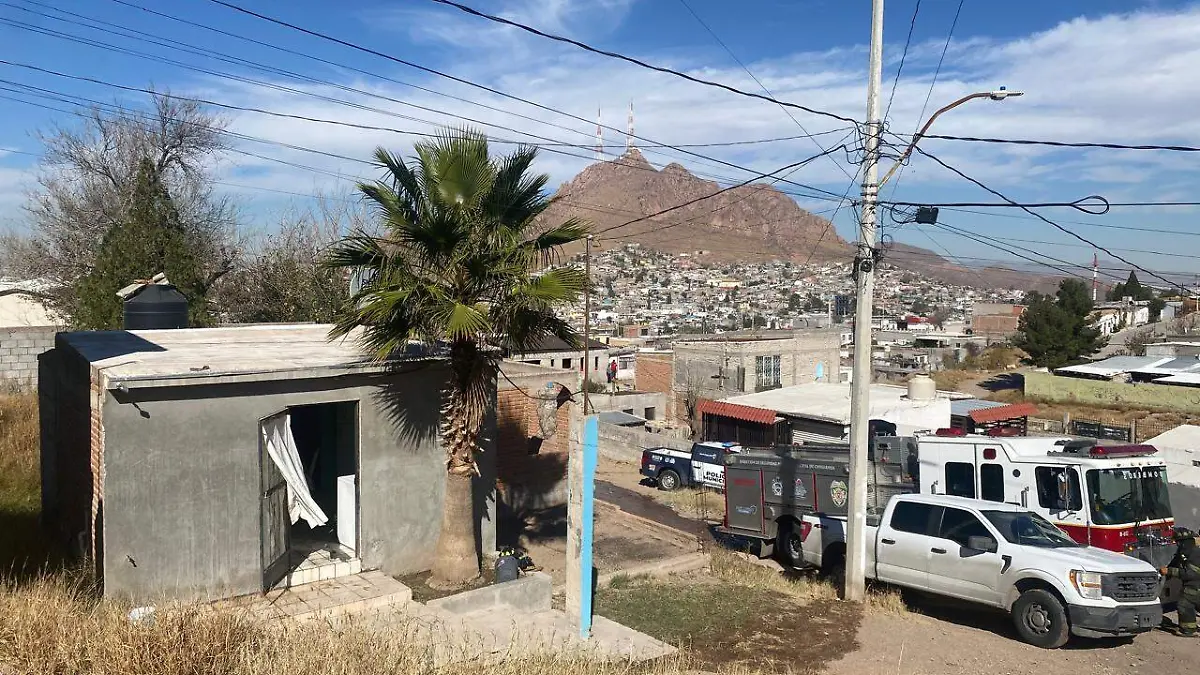 WhatsApp Image 2026-01-16 at 1.03.59 PM