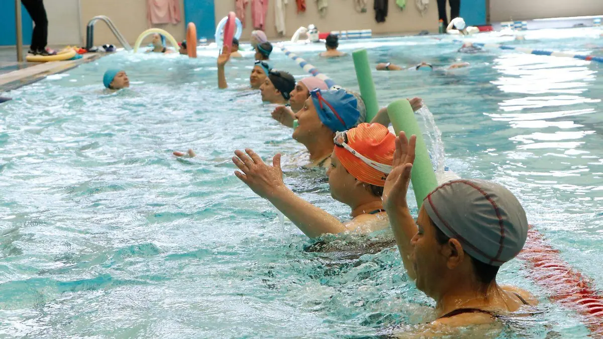 WhatsApp Image 2026-01-16 at 2.41.22 PM