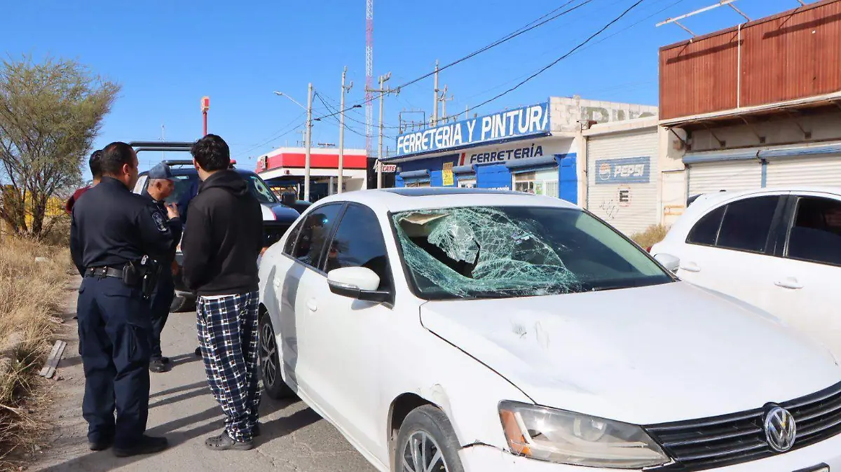 WhatsApp Image 2026-01-16 at 4.48.08 PM