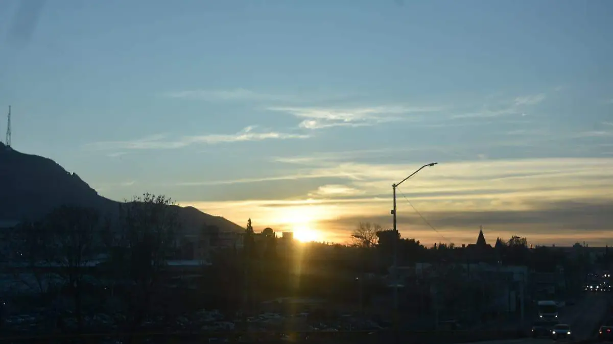 WhatsApp Image 2026-01-17 at 9.03.27 AM (1)