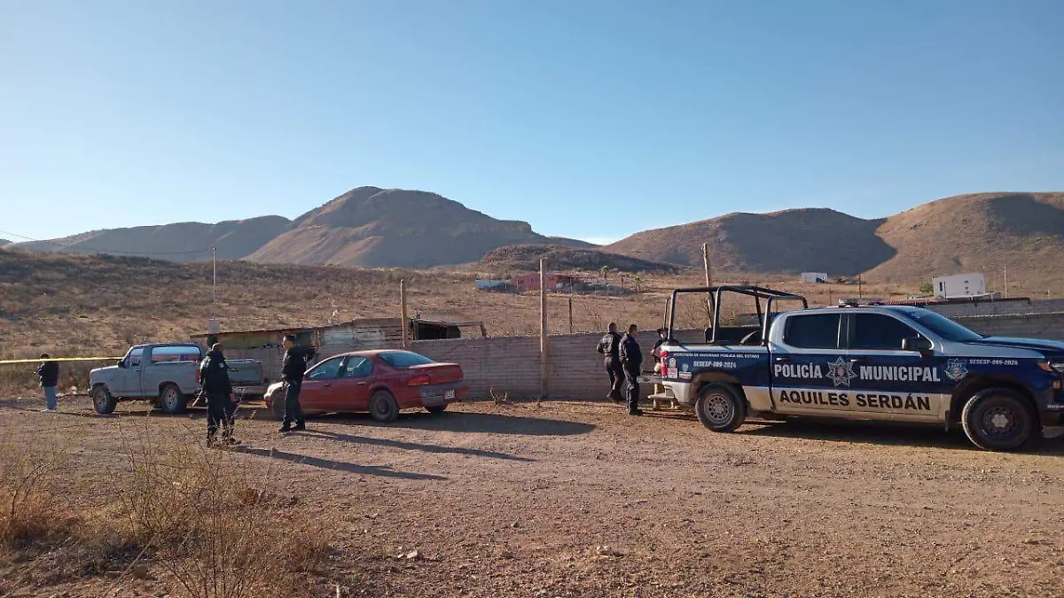 WhatsApp Image 2026-01-17 at 9.43.59 AM