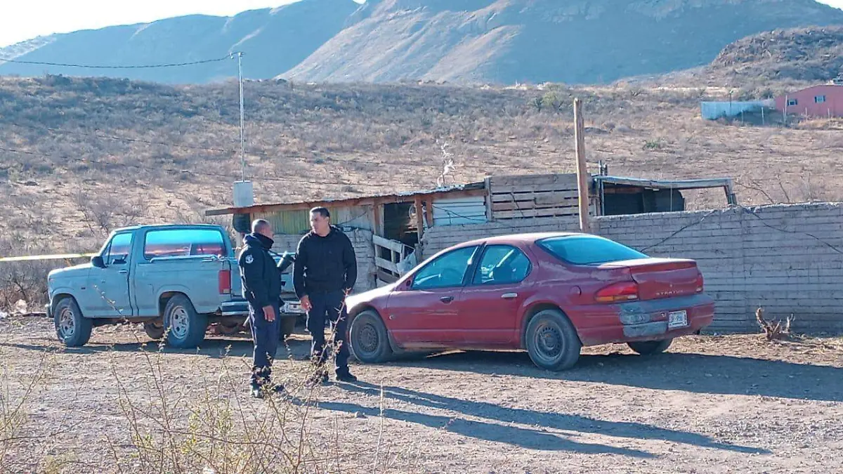 WhatsApp Image 2026-01-17 at 9.43.59 AM (1)