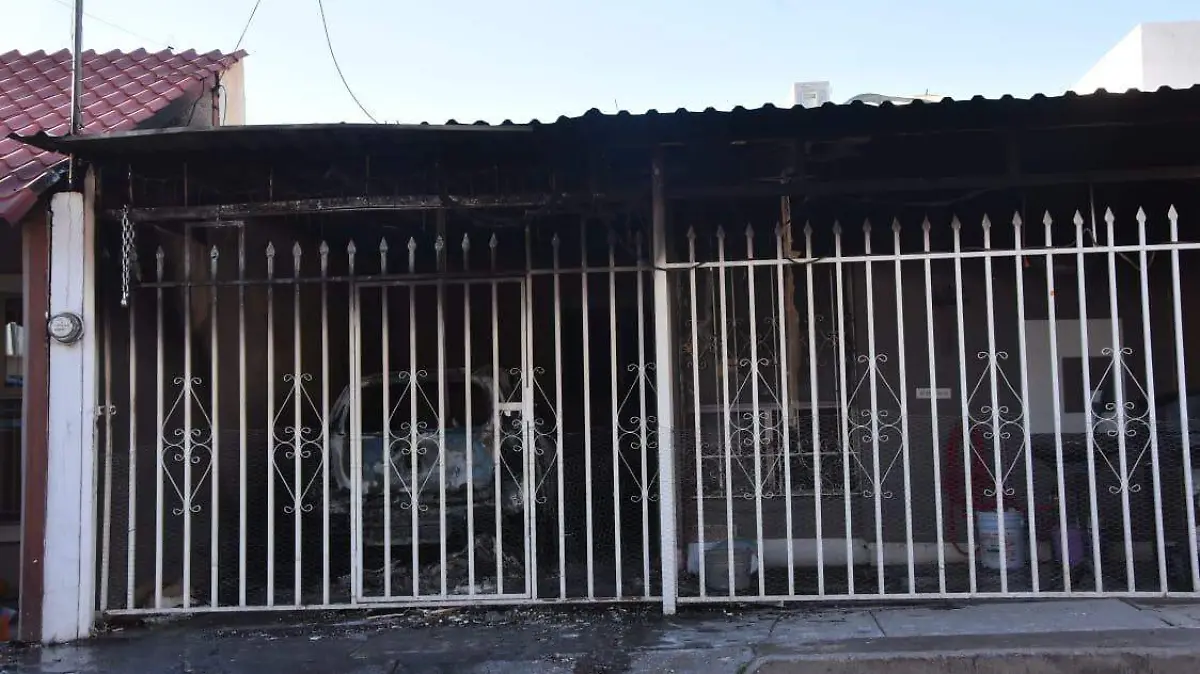 WhatsApp Image 2026-01-17 at 9.23.58 AM