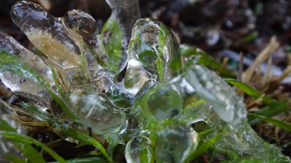 Hielo escarcha frío