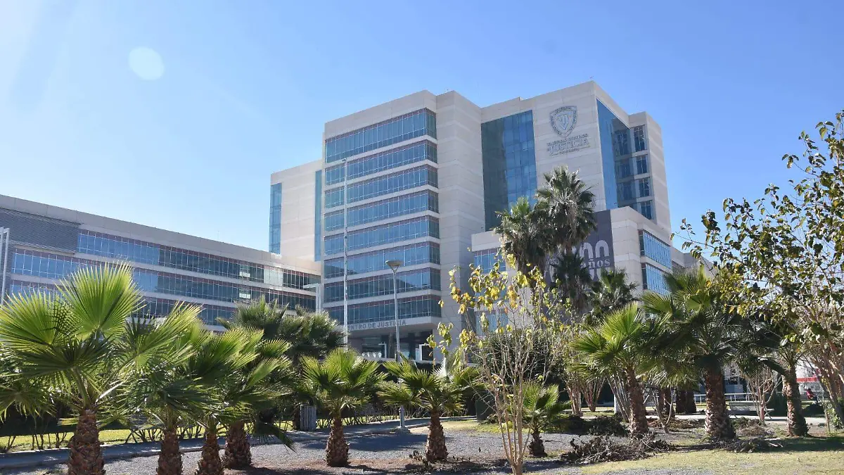 WhatsApp Image 2026-01-17 at 11.57.11 AM (1)