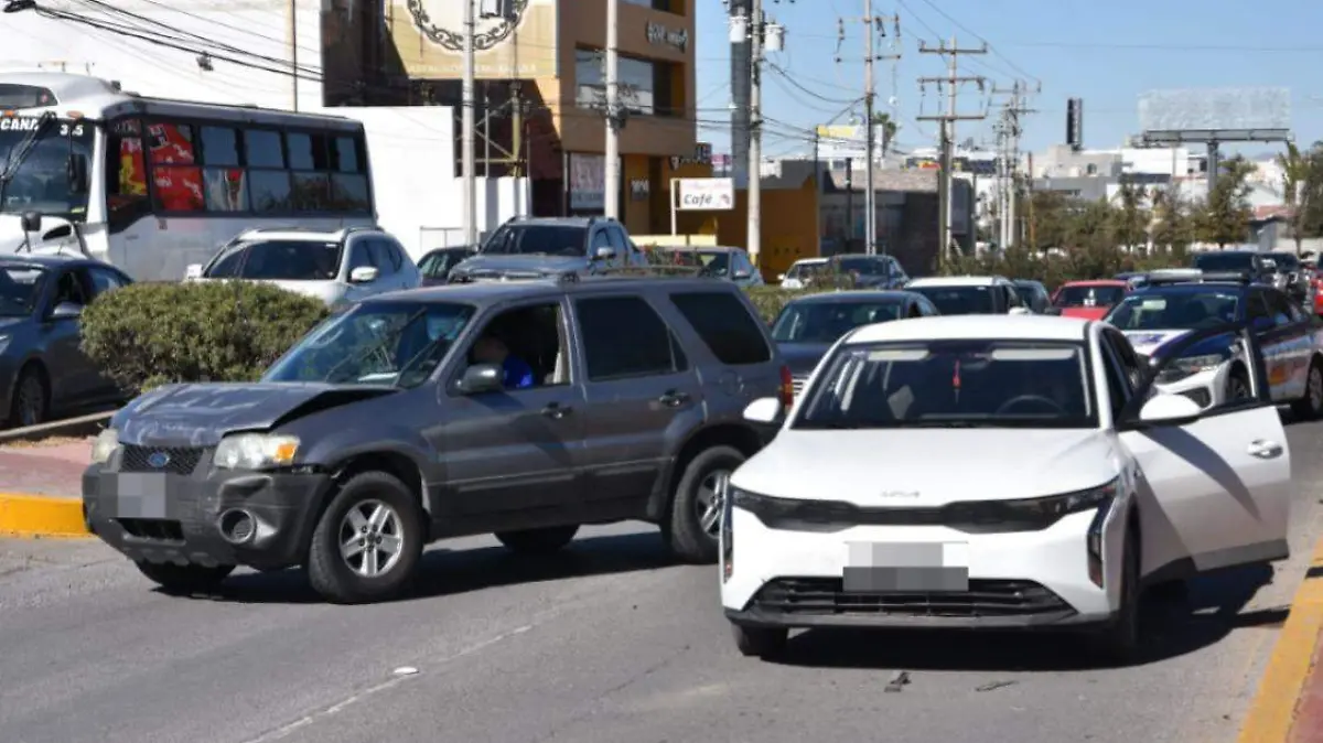 WhatsApp Image 2026-01-17 at 3.15.11 PM