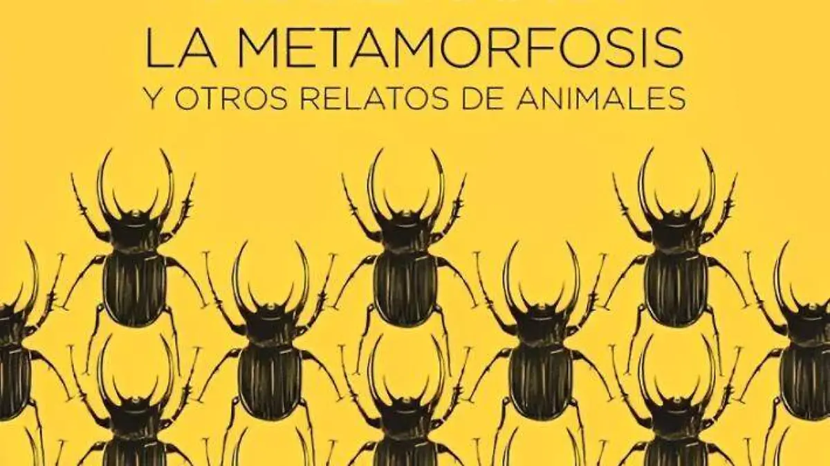 FOTO FACEBOOK VHICTOR GRZ (1)