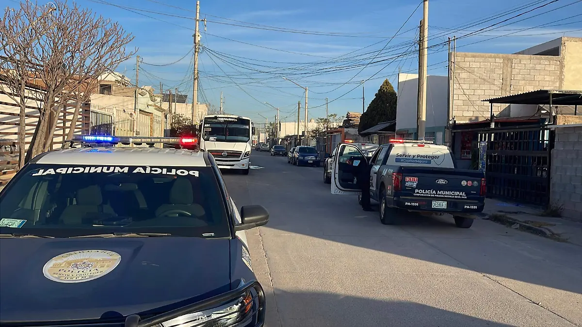 698d9f1a-cf56-4abb-9bad-678d618d258f