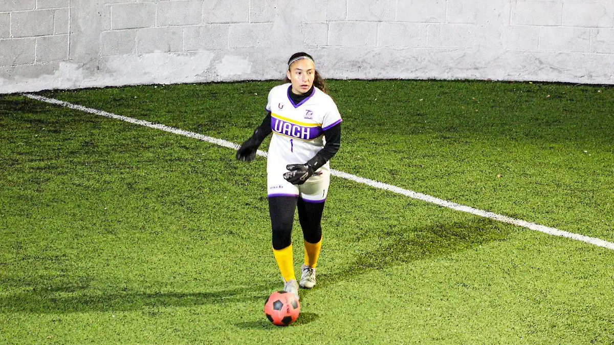 WhatsApp Image 2026-01-19 at 10.42.29 AM