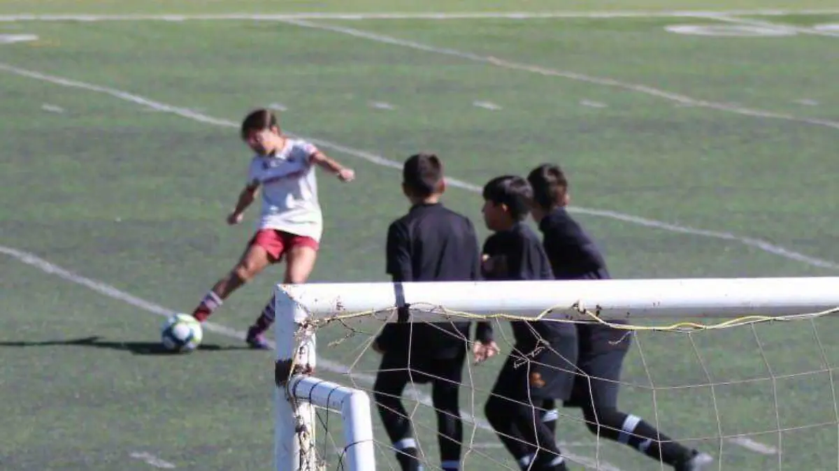 WhatsApp Image 2026-01-19 at 1.02.20 PM