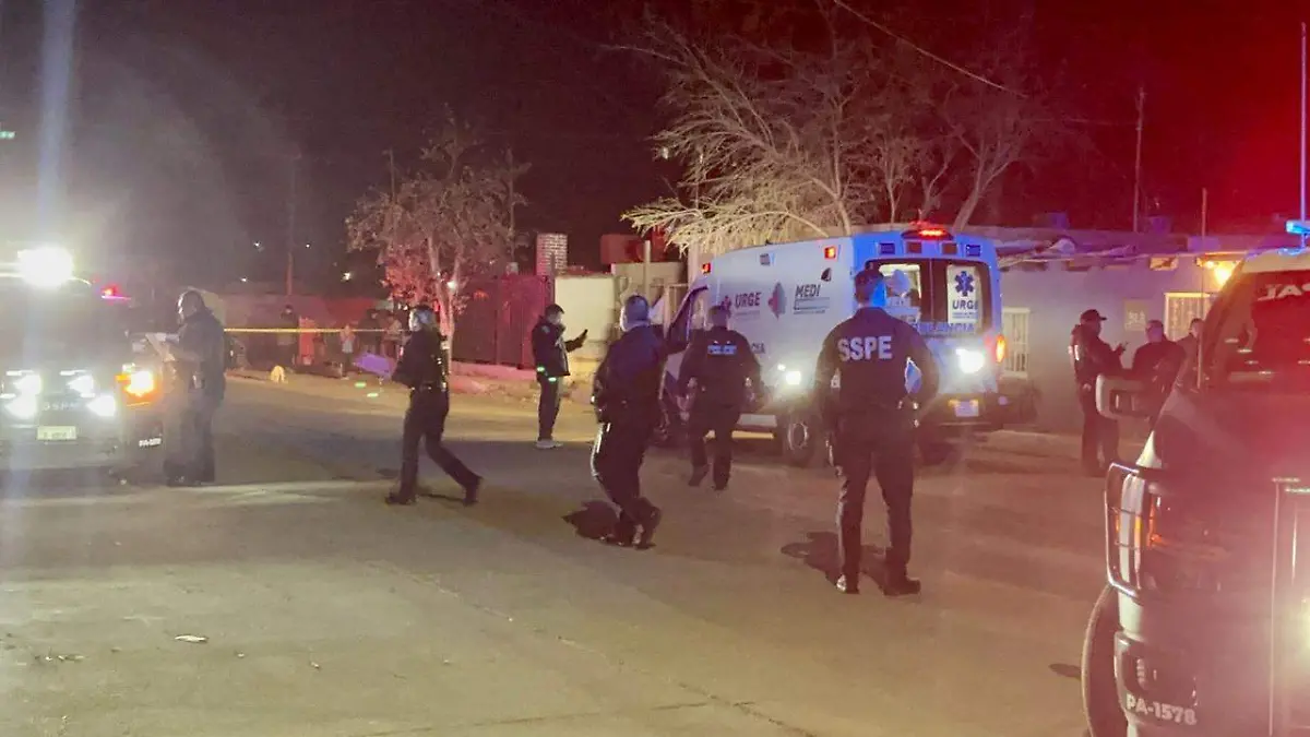 WhatsApp Image 2026-01-19 at 9.03.17 PM