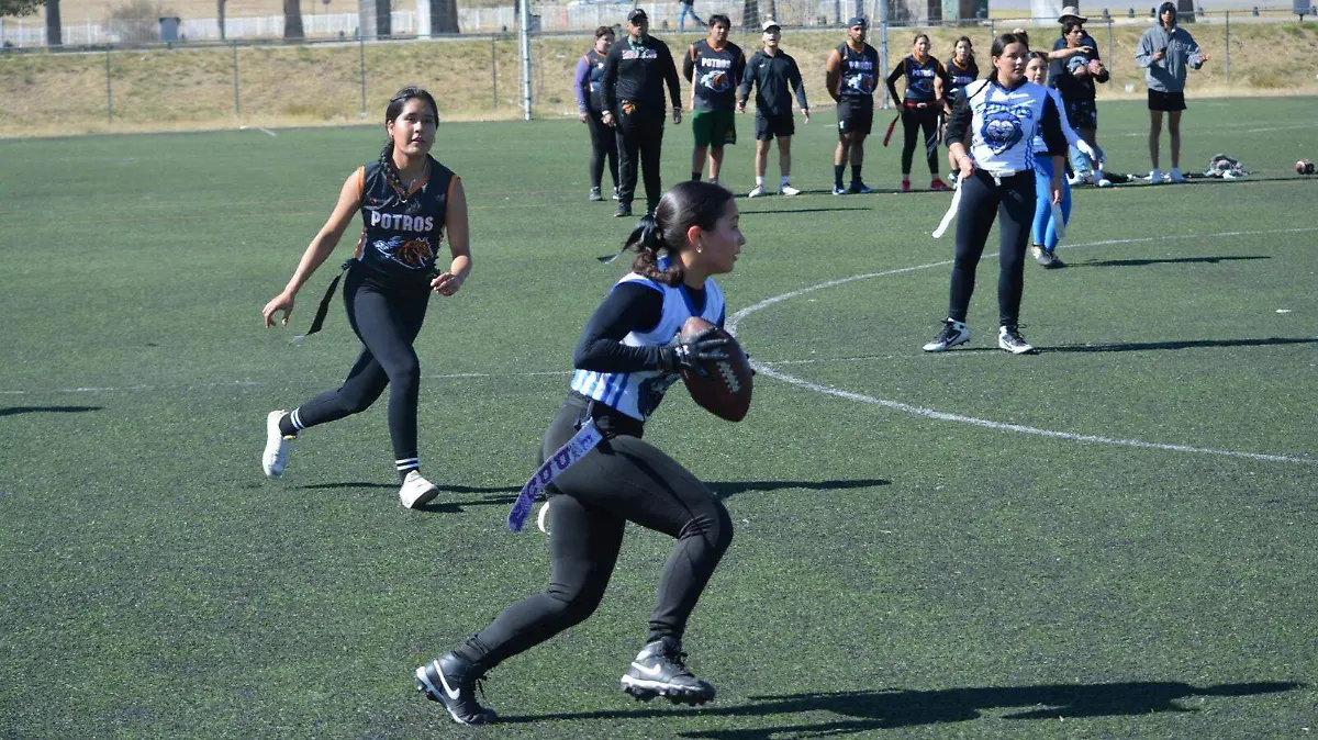 WhatsApp Image 2026-01-20 at 10.41.38 AM