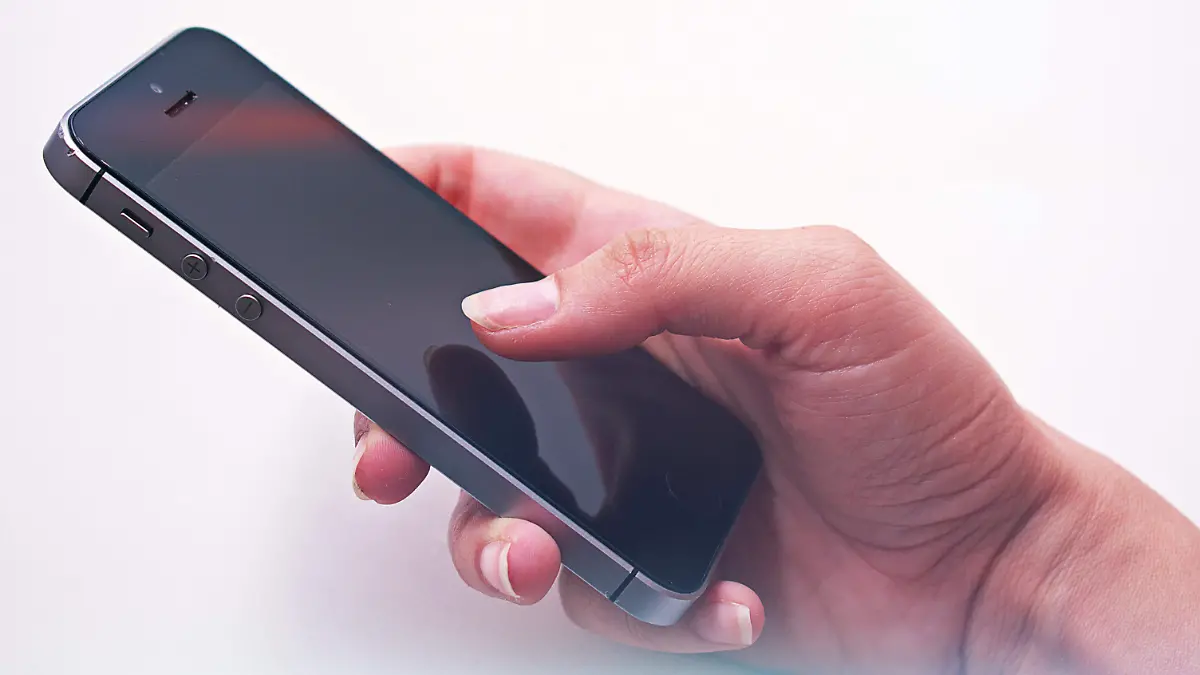 pexels-didsss-1367229