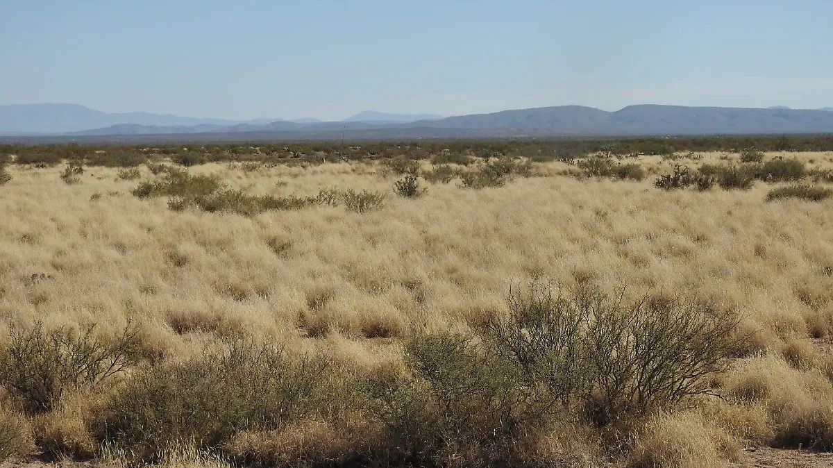 129058558_3865459846806410_3009204960825143990_n (1)