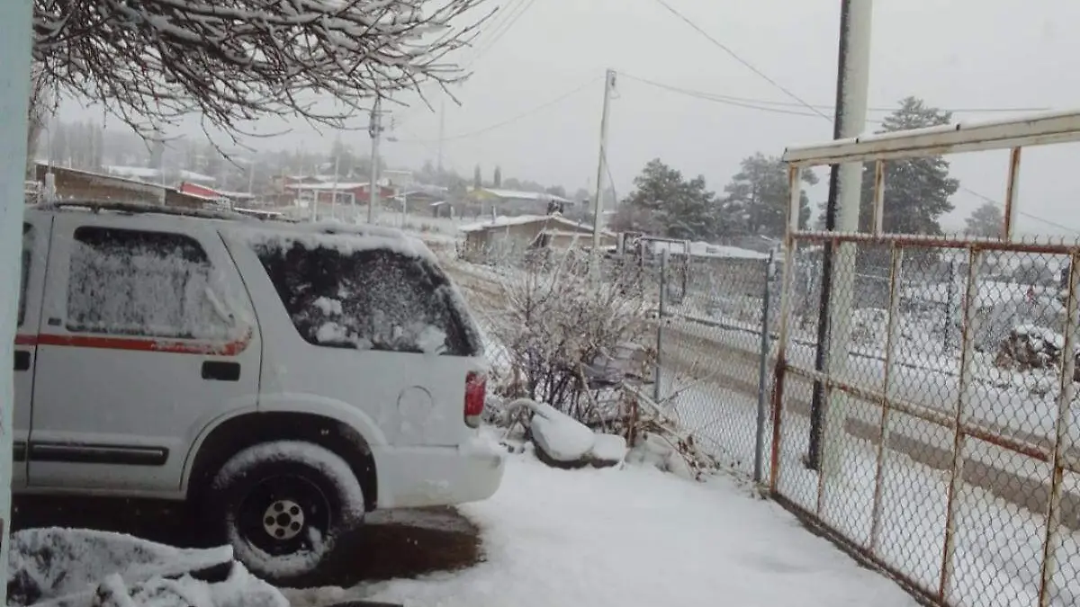 WhatsApp Image 2026-01-24 at 9.34.45 AM