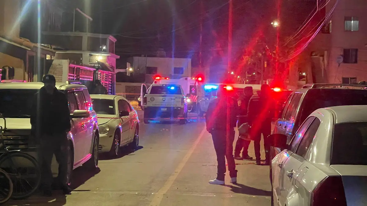 WhatsApp Image 2026-01-24 at 10.51.16 AM