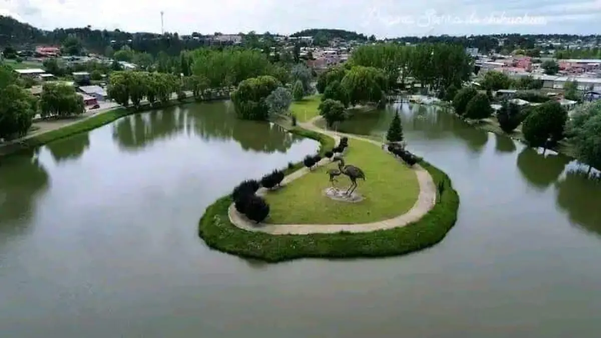 WhatsApp Image 2026-01-22 at 12.43.46