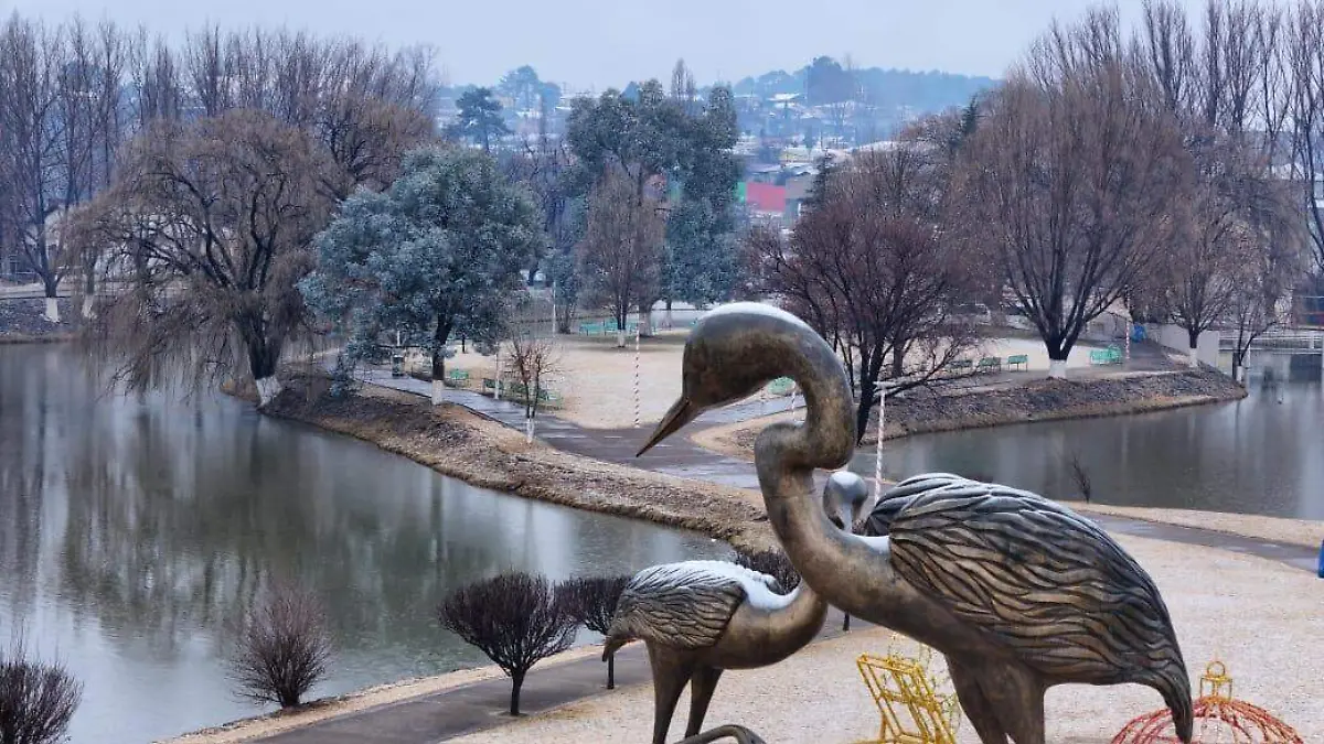 lago de las garzas, guachochi