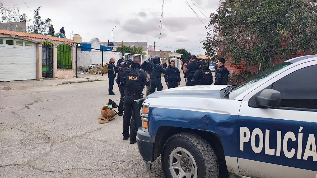 WhatsApp Image 2026-01-24 at 2.31.29 PM