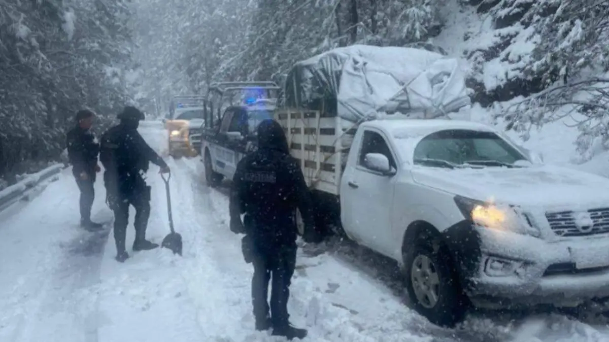 WhatsApp Image 2026-01-24 at 3.12.25 PM