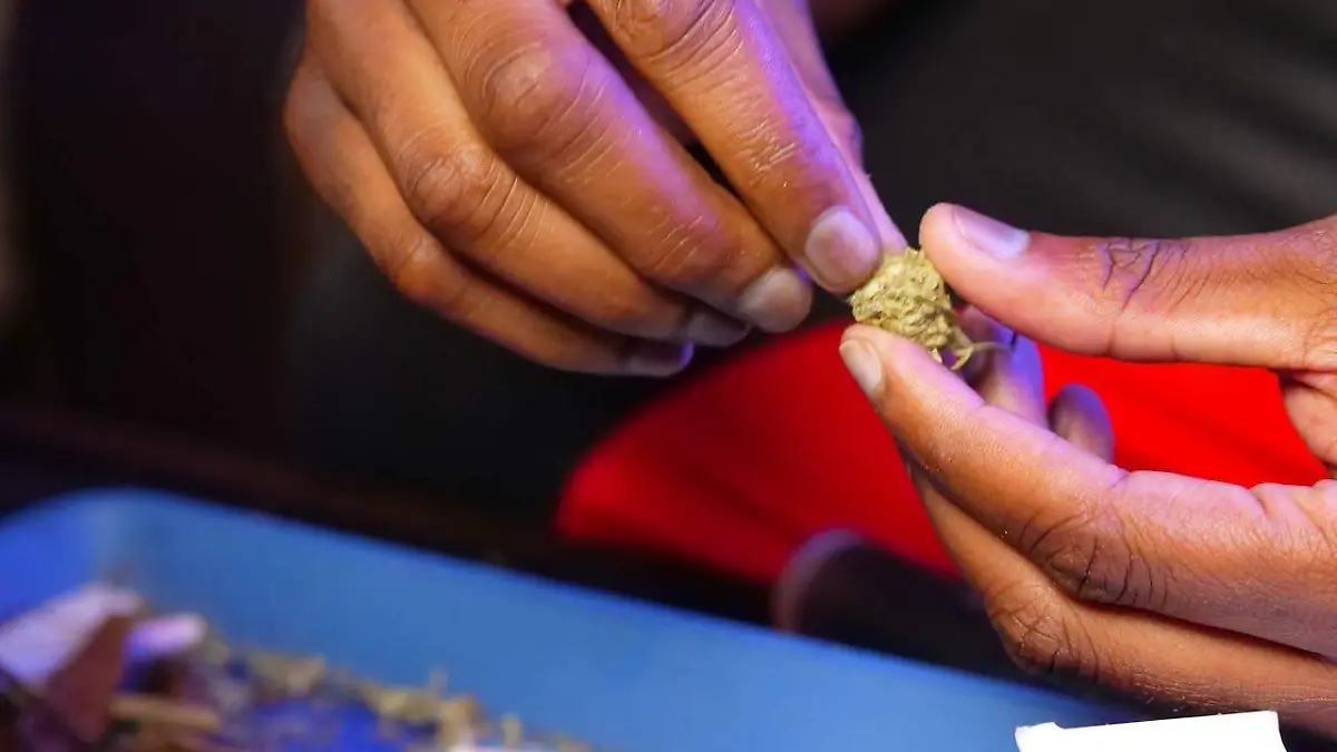 pexels-kindelmedia-7667938